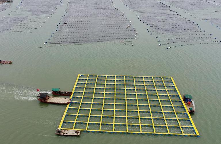 （社會）（1）福建霞浦：加快海上養殖綜合整治